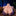 YQ26-39lb Busty Boobs Silicone Big Breasts Female Sex Doll Torso
